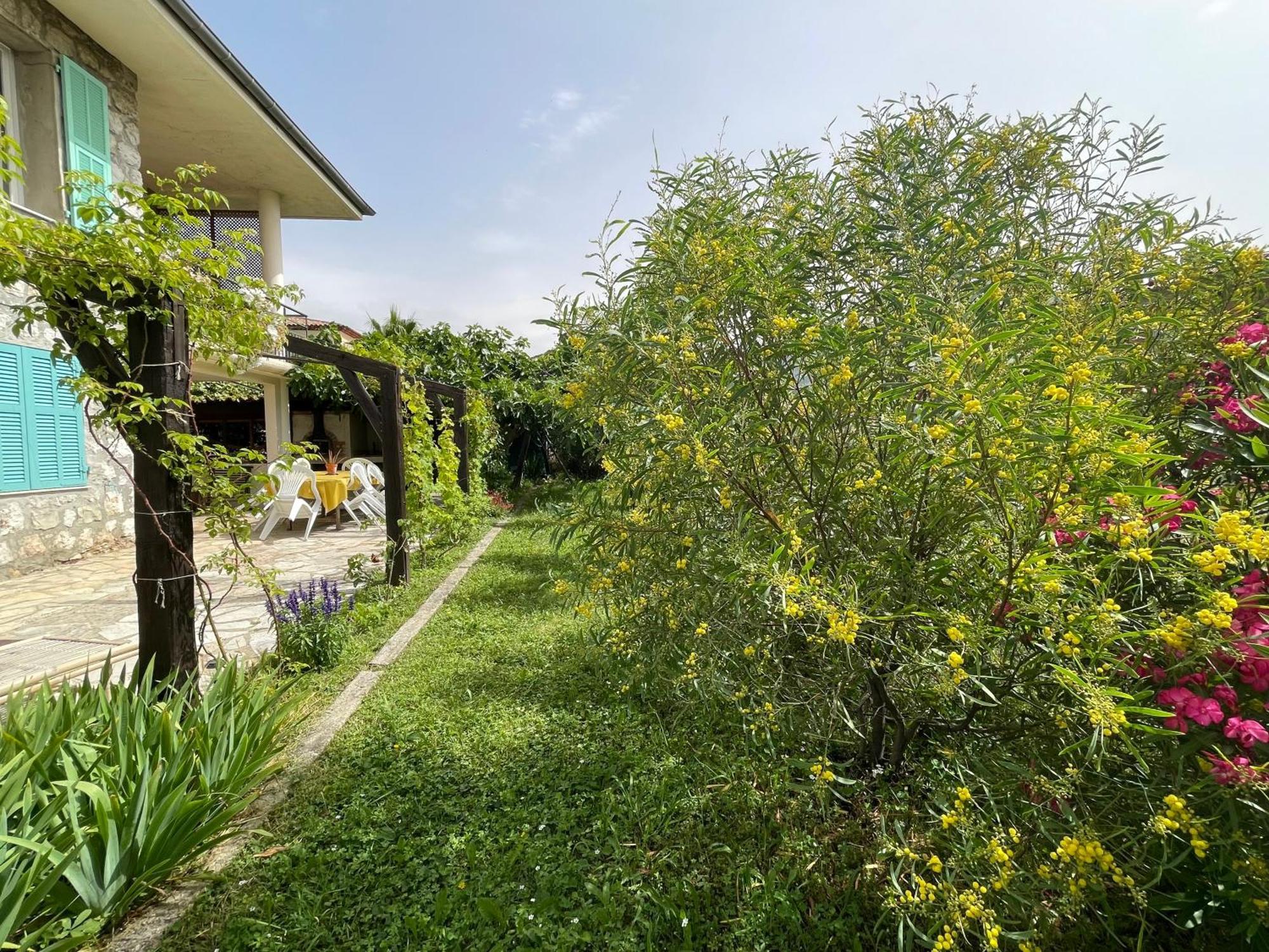 Bas De Villa Avec Acces Piscine Pres De Nice Cannes Monaco カロ エクステリア 写真